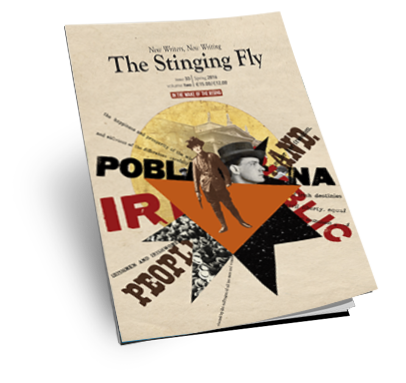 The latest Singing Fly Magazine - In the Wake of the Rising